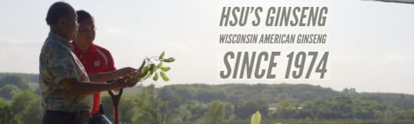 Hsu's Korean Ginseng Capsules 180 ct