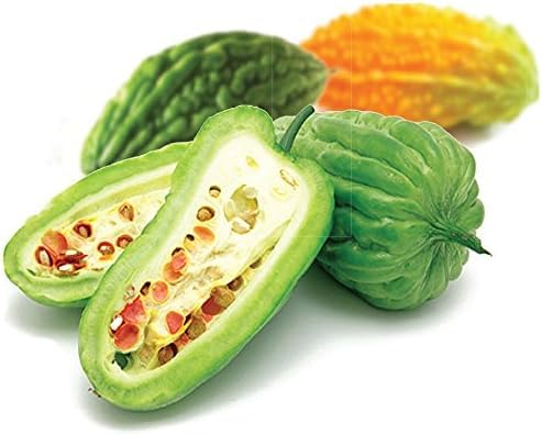 Gabby Insul Care Bitter Melon Natural Herbal Extracts (10:1) Active 500mg 240 Capsules