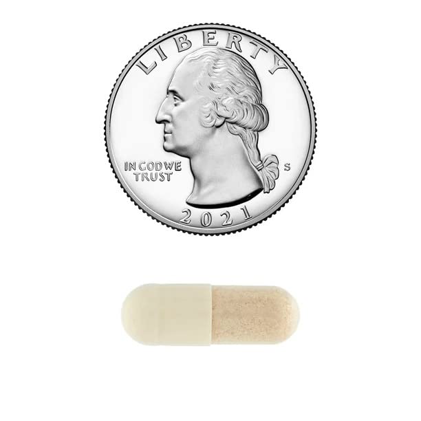 Convergence Equate Brain Health 5 Function Formula Capsules, 30 Count