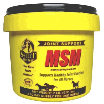 Animal Health International MSM Capsules, 2 Capsules