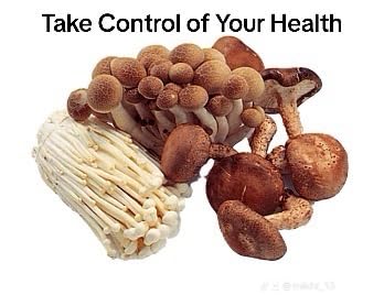 Generic Mycobrew Mushroom Coffee with 9 Functional Mushrooms Powder 8