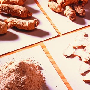 Hsu's Cultivated Wisconsin American Ginseng Powder 4 oz