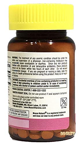 Mason Natural Slow Release Iron Tablets, 60 Count
