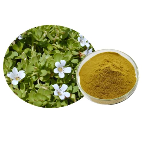 Bright sunlight Purslane Extract Powder 18 oz