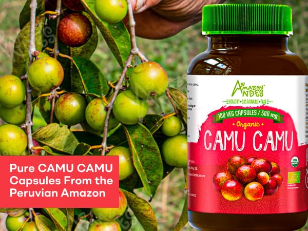 AMAZON ANDES HEALTHY · SUSTAINABLE · FAIR Camu Camu 500mg Capsules, 100 Count