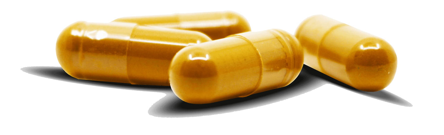 Bêche Sea Cucumber Powder Capsule 30 Capsules
