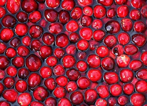 SWAN LIFE ESSENTIALS Cranberry & Tart Cherry Extract 120 Capsules