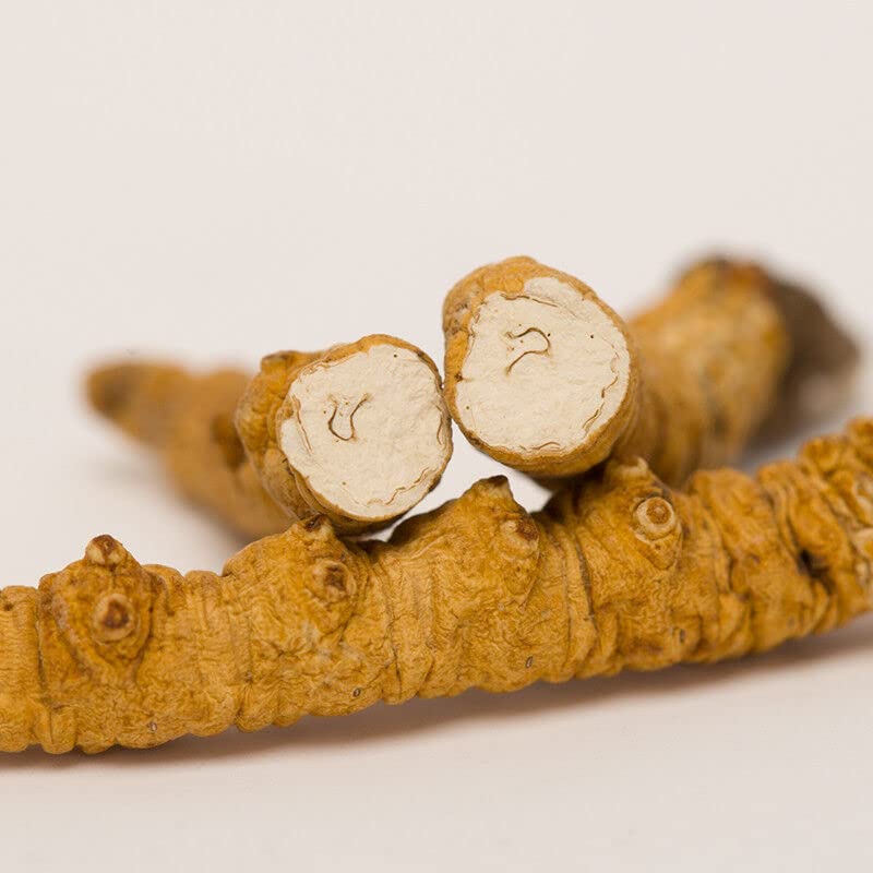 Bright sunlight Wild Himalayan Cordyceps Sinensis Tablets 1 Tablet