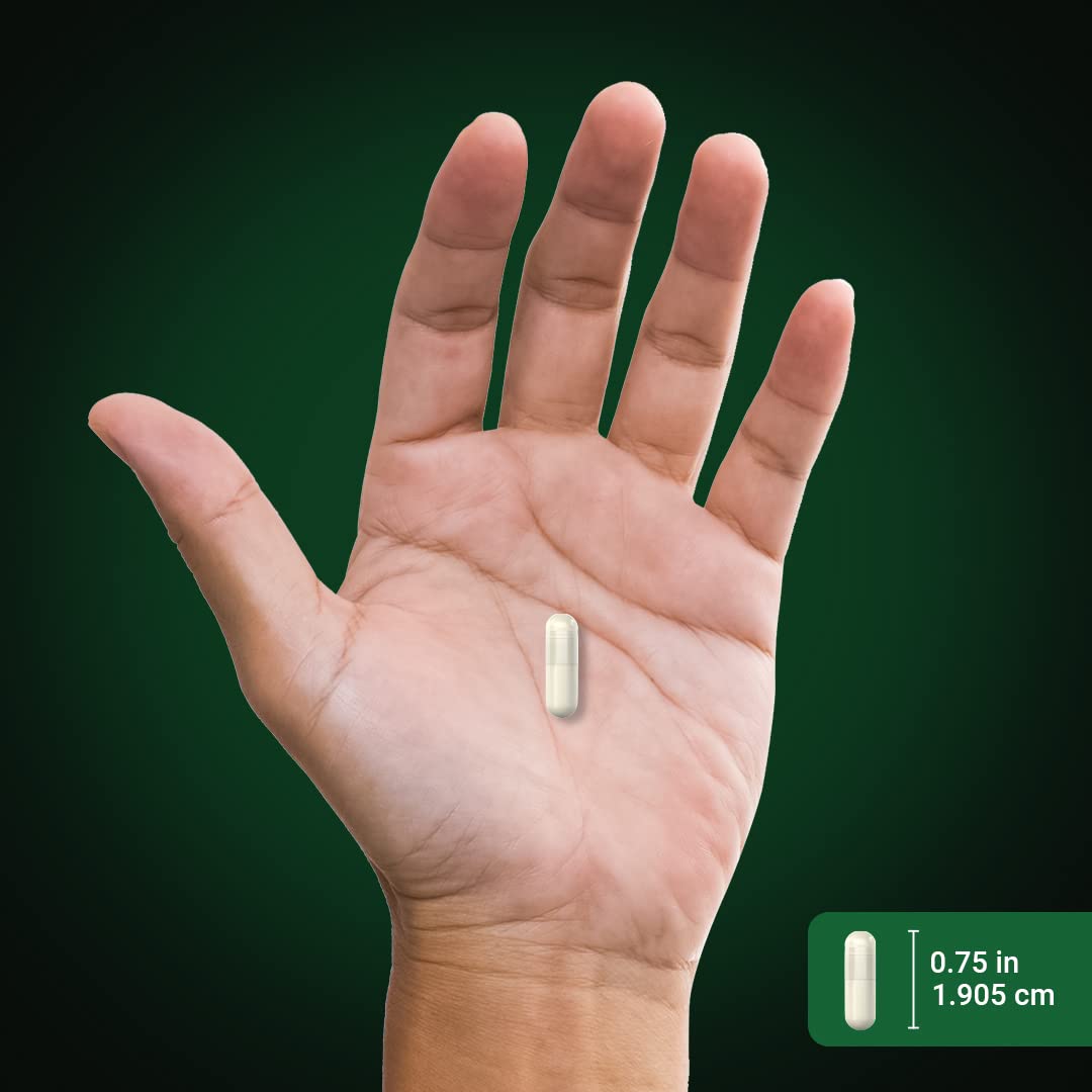 Piping Rock Milk Thistle Supplement Capsules 200