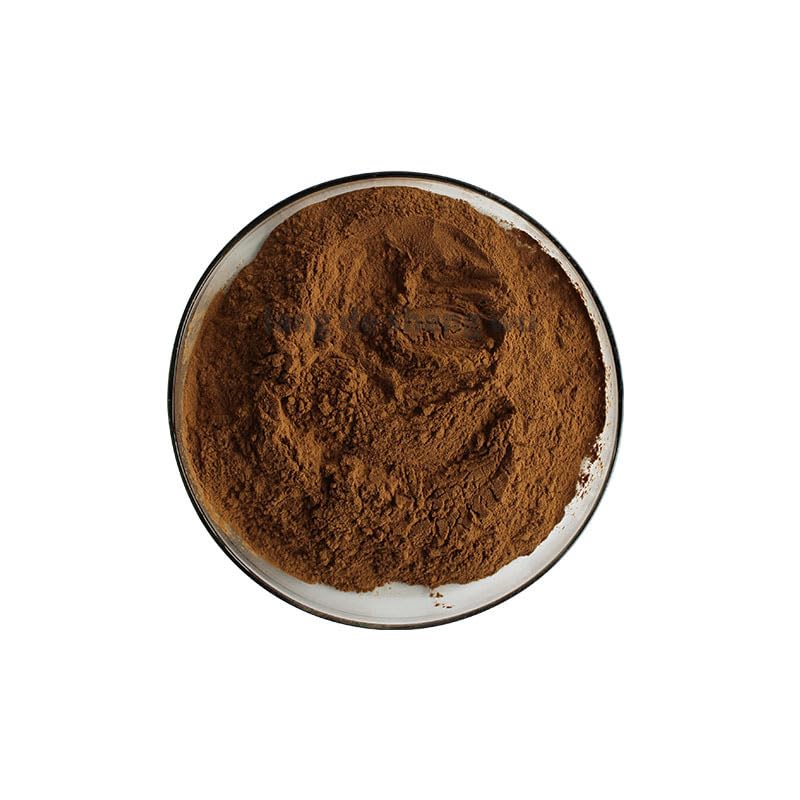 Bright sunlight Dandelion Root Extract 20:1 Powder 16 Ounce