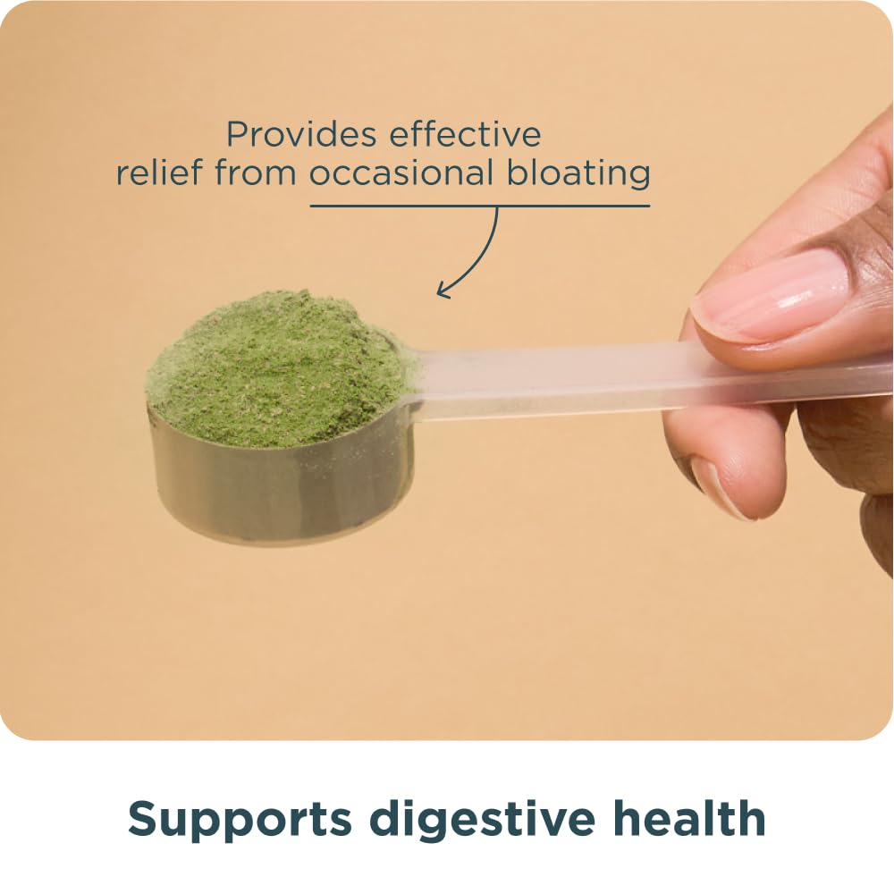 Ancient Nutrition Organic SuperGreens Bloat Relief Powder, 8.5 oz