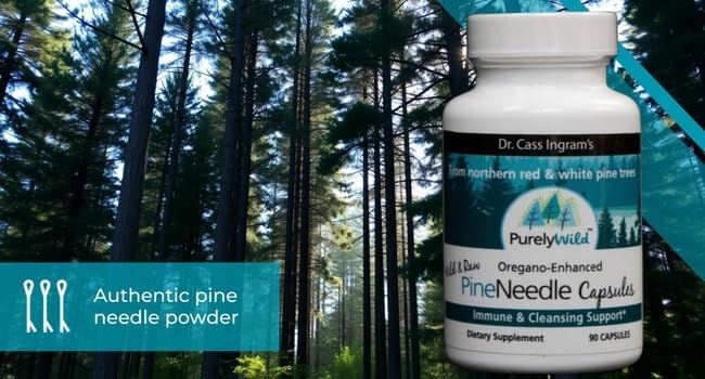 Purely Wild Pine Needle Capsules with Spruce, Black Cumin & Oregano, 90 Count