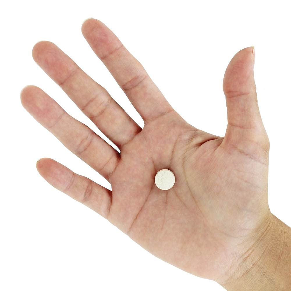 Enzymatic Therapy Mega-Zyme 200 Tablets