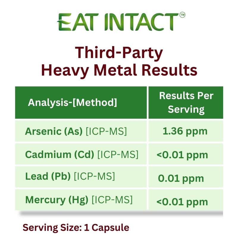 EAT INTACT Vegan Omega 3 from Algae Oil – Plant-Based, Unconcentrated EPA & DHA with Naturally Occurring Polar Lipids – Fish & Krill Oil Alternative – Carrageenan-Free, Non-GMO – 1 Capsule