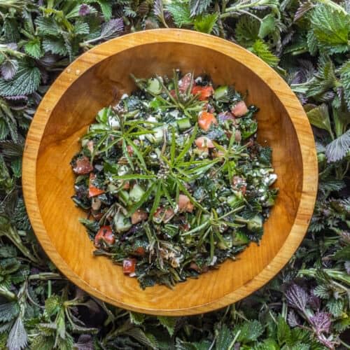 Generic Natural Nettle Seed (Urtica dioica) Powder 8.81 Ounce
