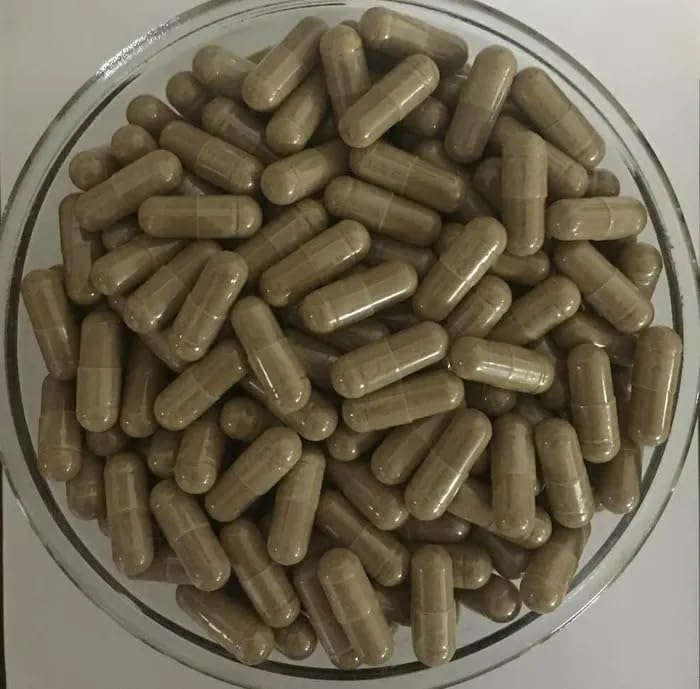 Bright sunlight Antrodia Cinnamomea Mushroom Extract 20:1 Capsule 500mg, 200 Capsules