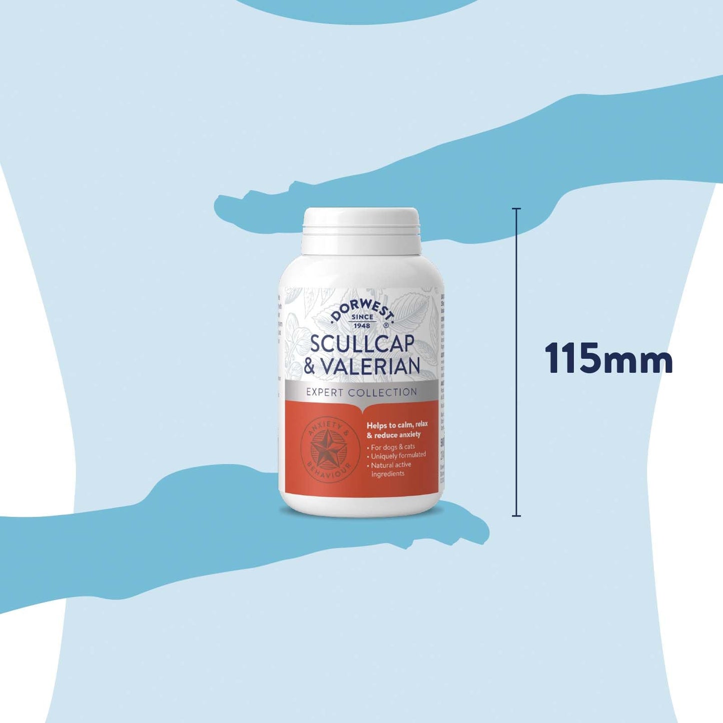 DORWEST HERBS Scullcap and Valerian Tablets, 500 Tablets