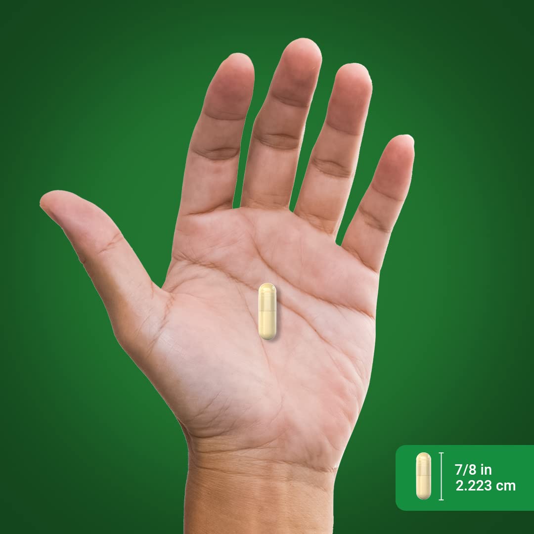 Piping Rock Artichoke Extract Capsules 200 Count