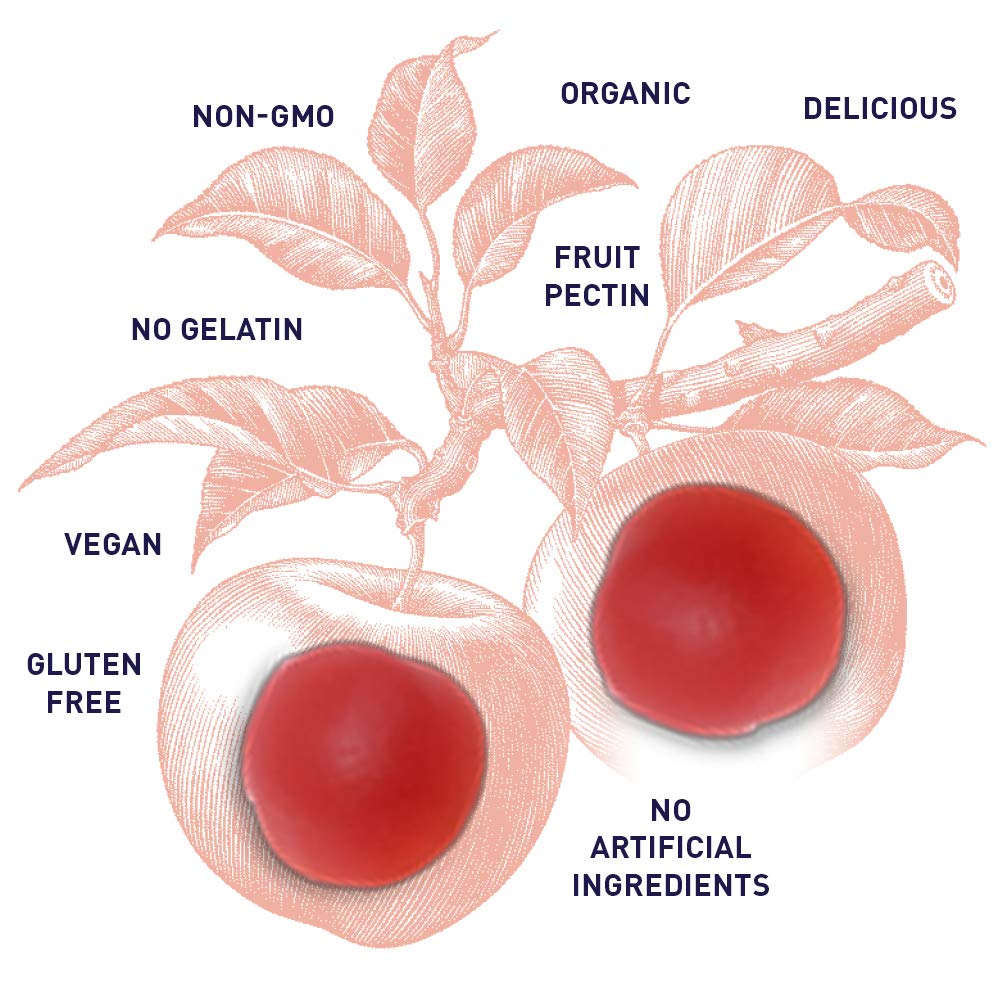 Garden of Life Organics Apple Cider Vinegar Gummies with Vitamin B12, 60 Gummies