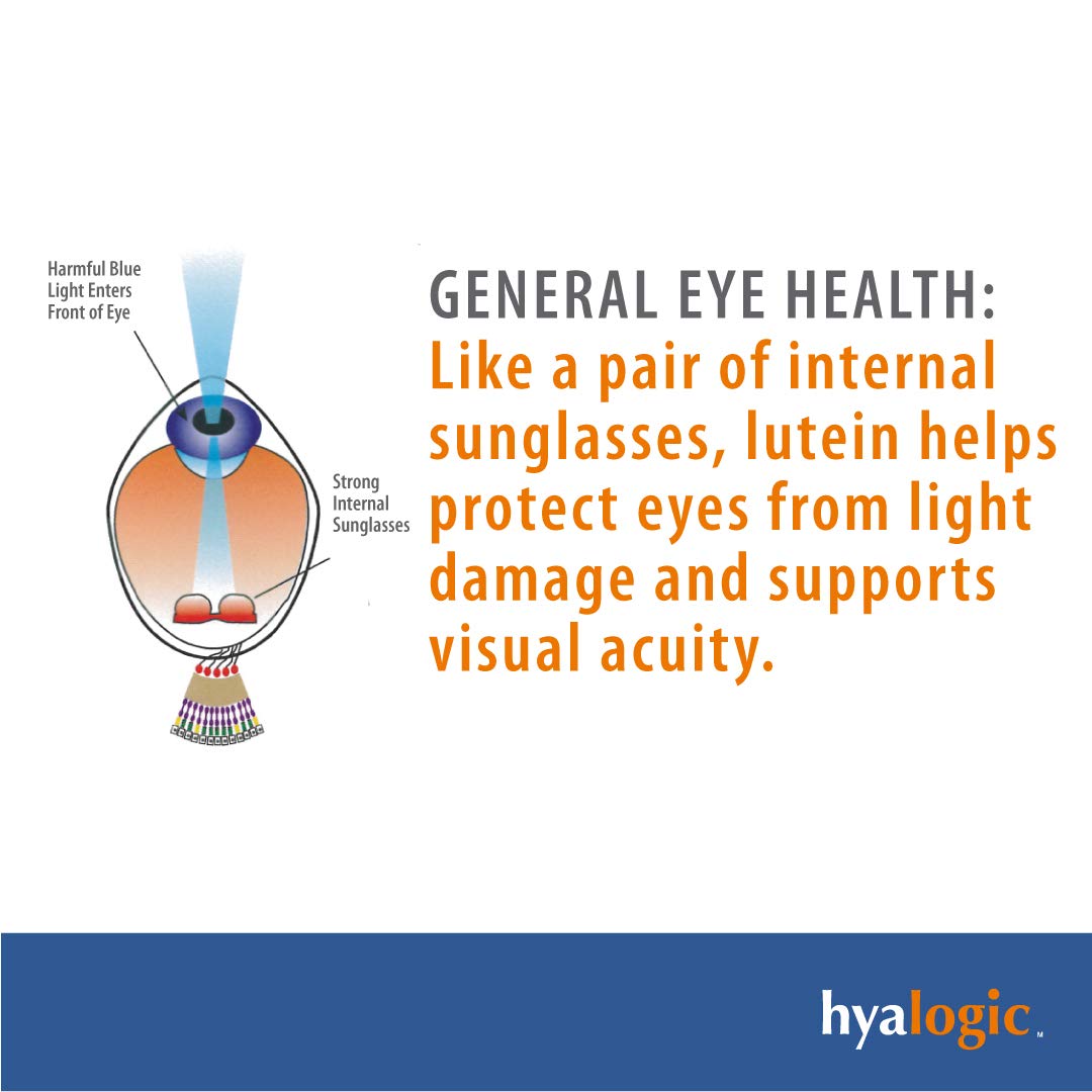 Hyalogic HylaVision Eye Health Supplement Capsules 120 Capsules
