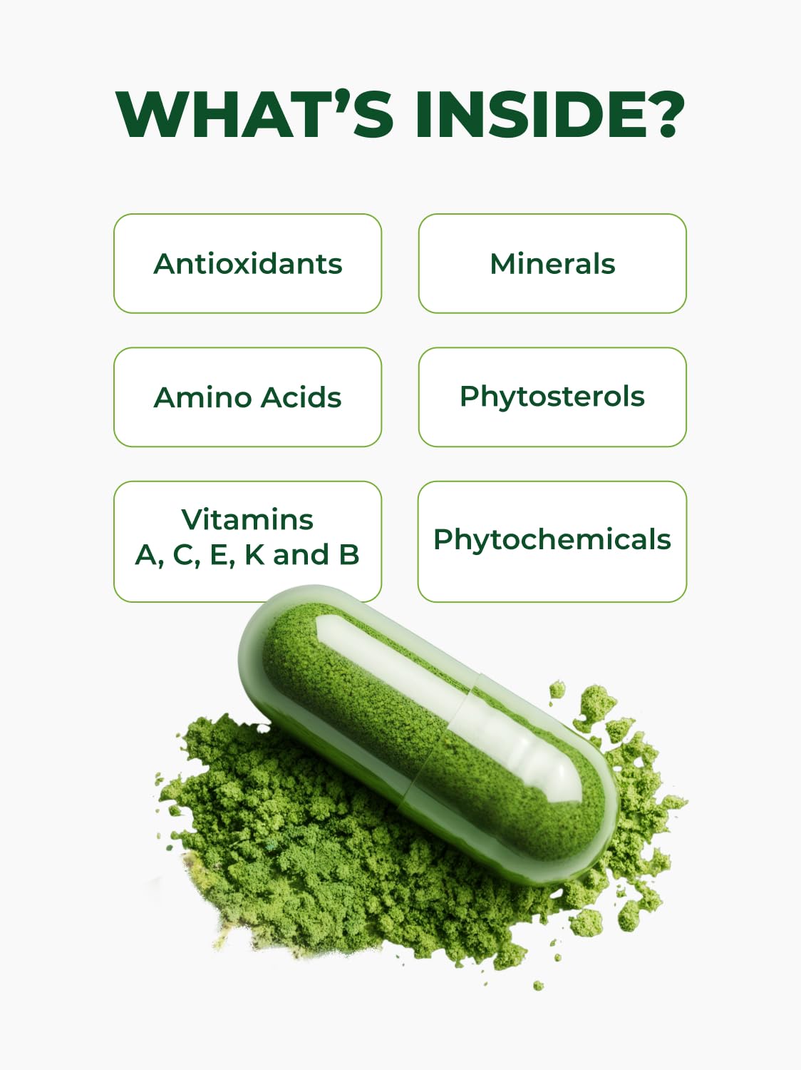 Pura Vida Moringa Organic Moringa Capsules, 500mg, 120 Count