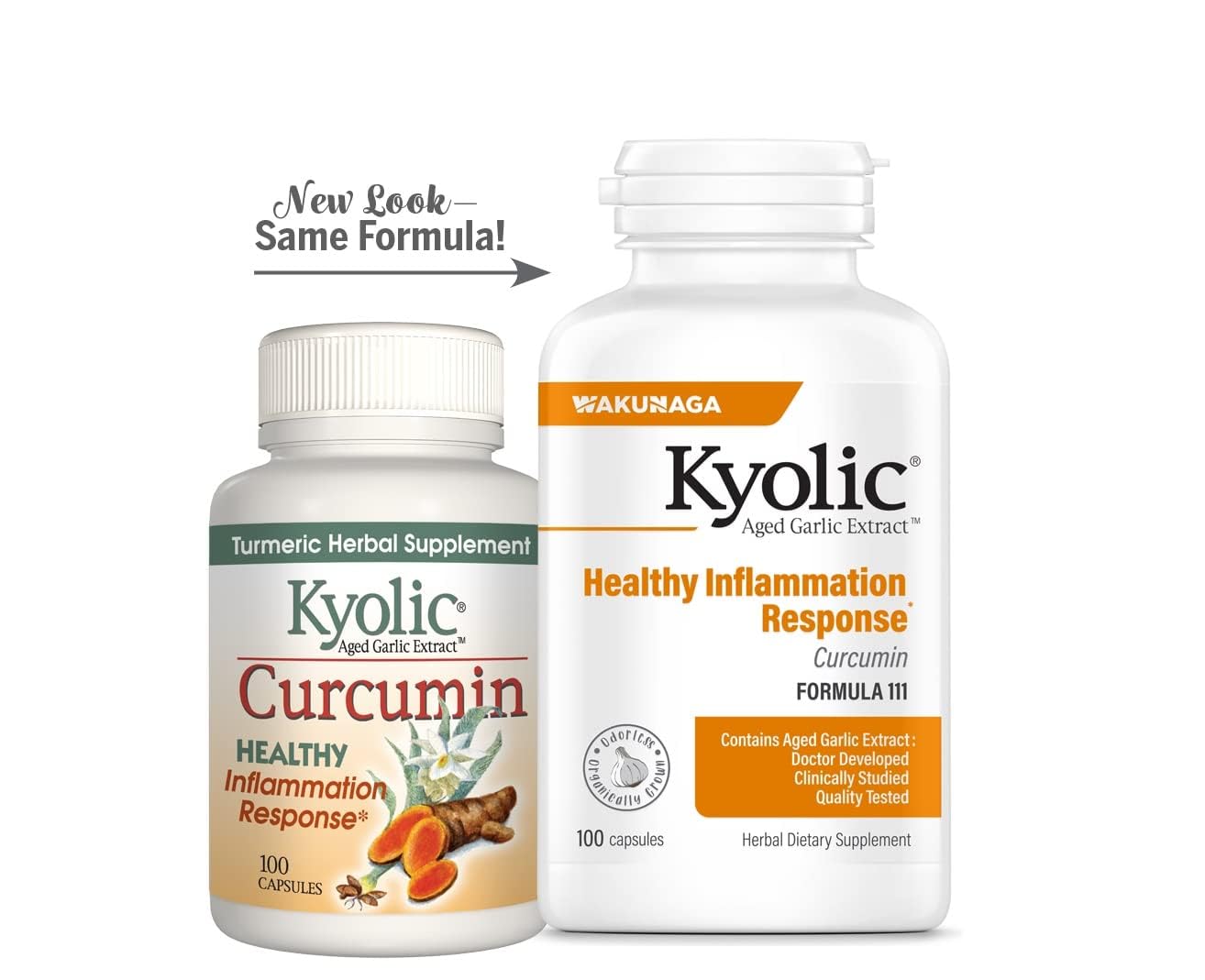 Kyolic Aged Garlic Extract Formula 111 Capsules, 100