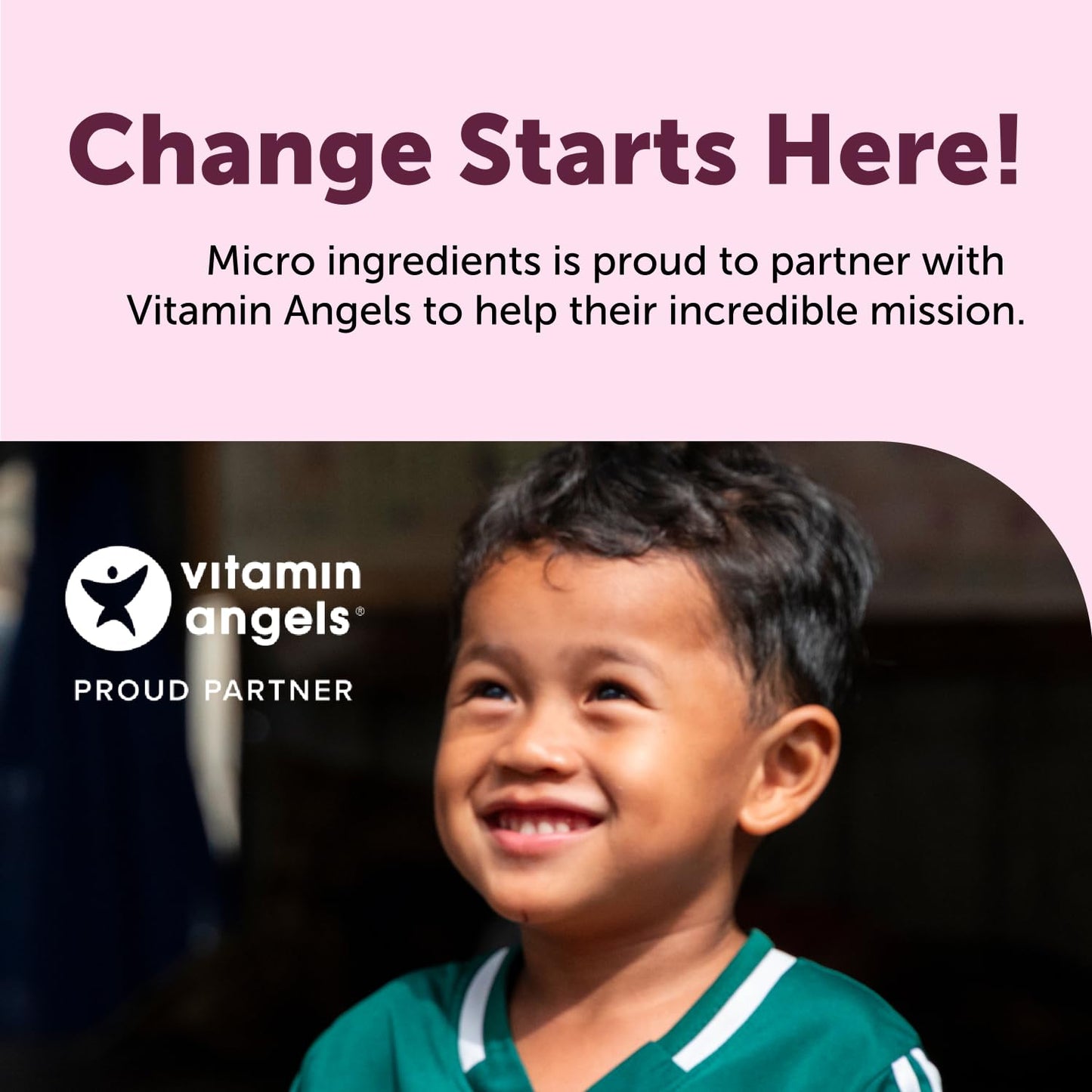Micro Ingredients Vitex Berry+ Advanced Softgel, 240 Softgels