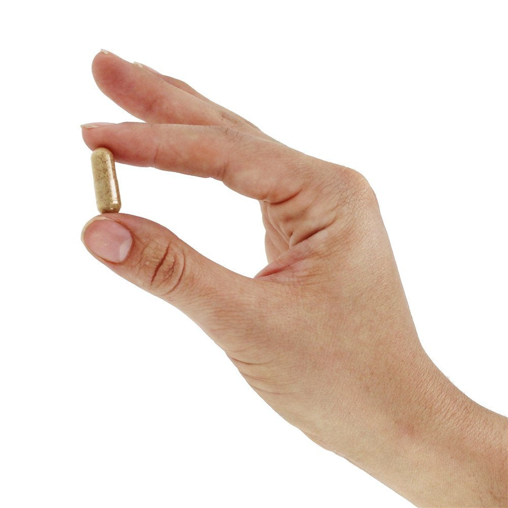 SOLARAY Rose Hips Capsule 100