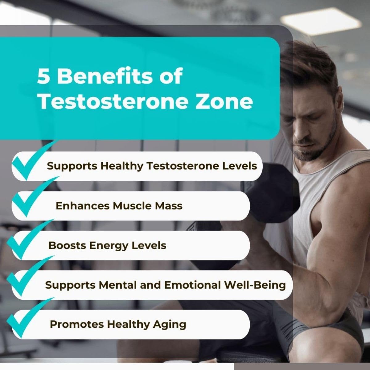 Divine Health Testosterone Zone Capsule 1 Count