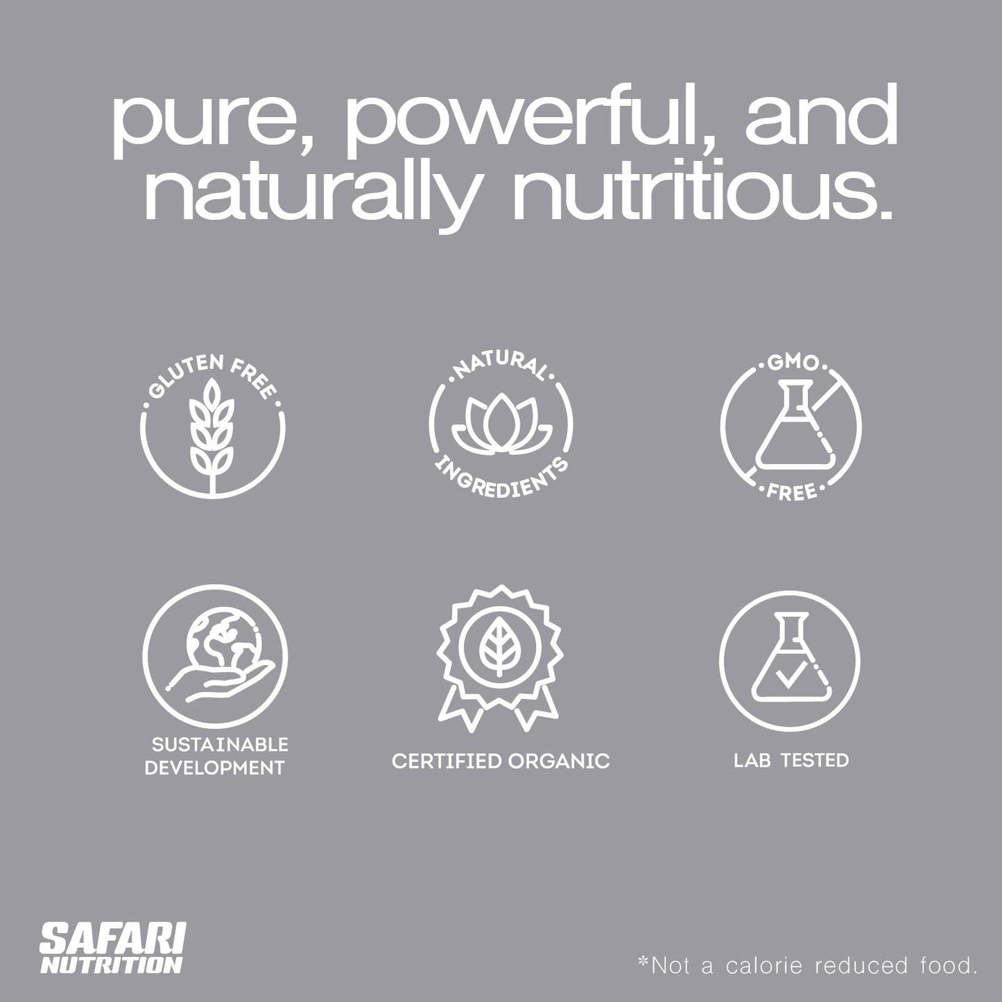 Safari Nutrition 100% Vegan Premium Protein Powder Creamy Vanilla, 32 Servings