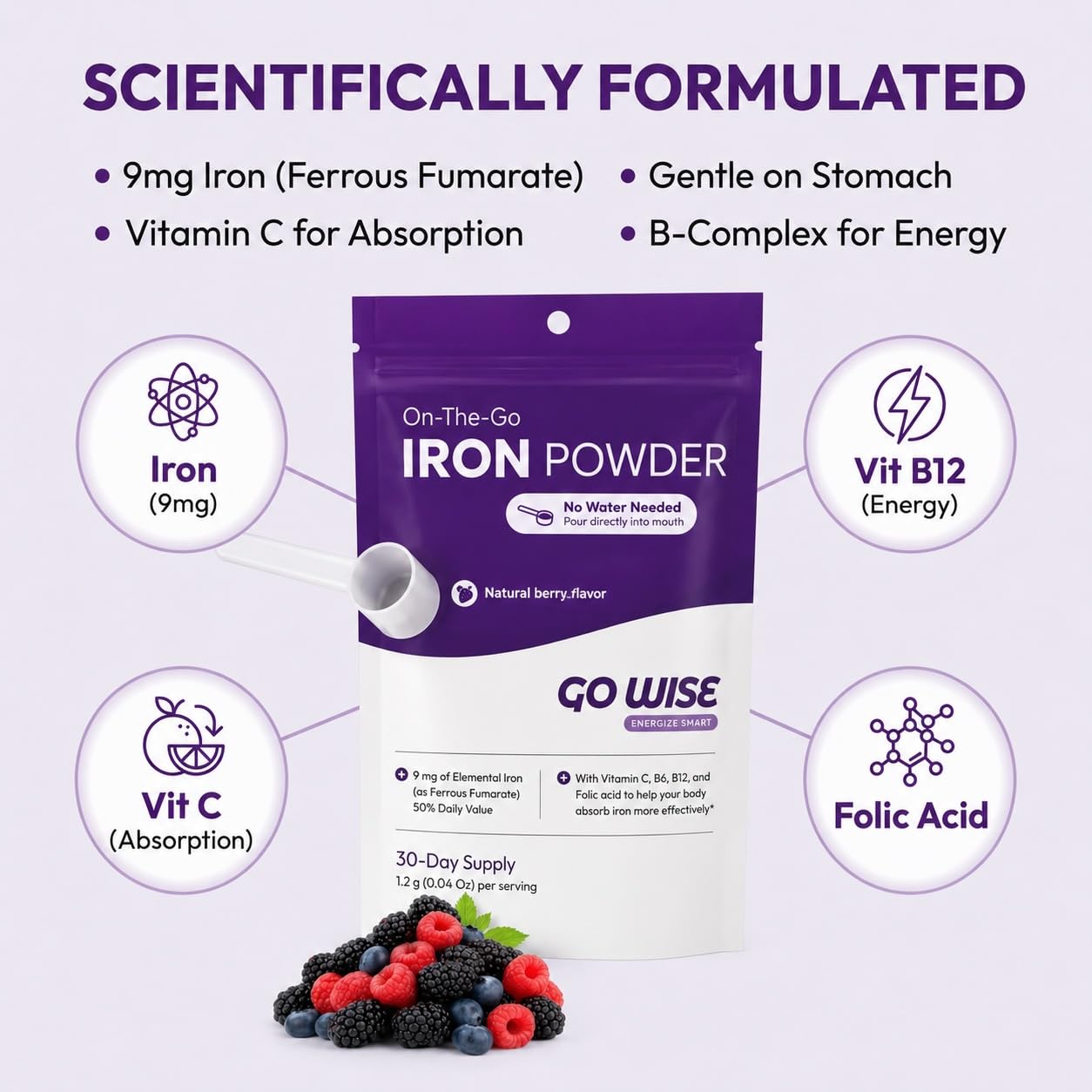 Go Wise Gentle Iron Powder with Scoop 1.2 Ounce