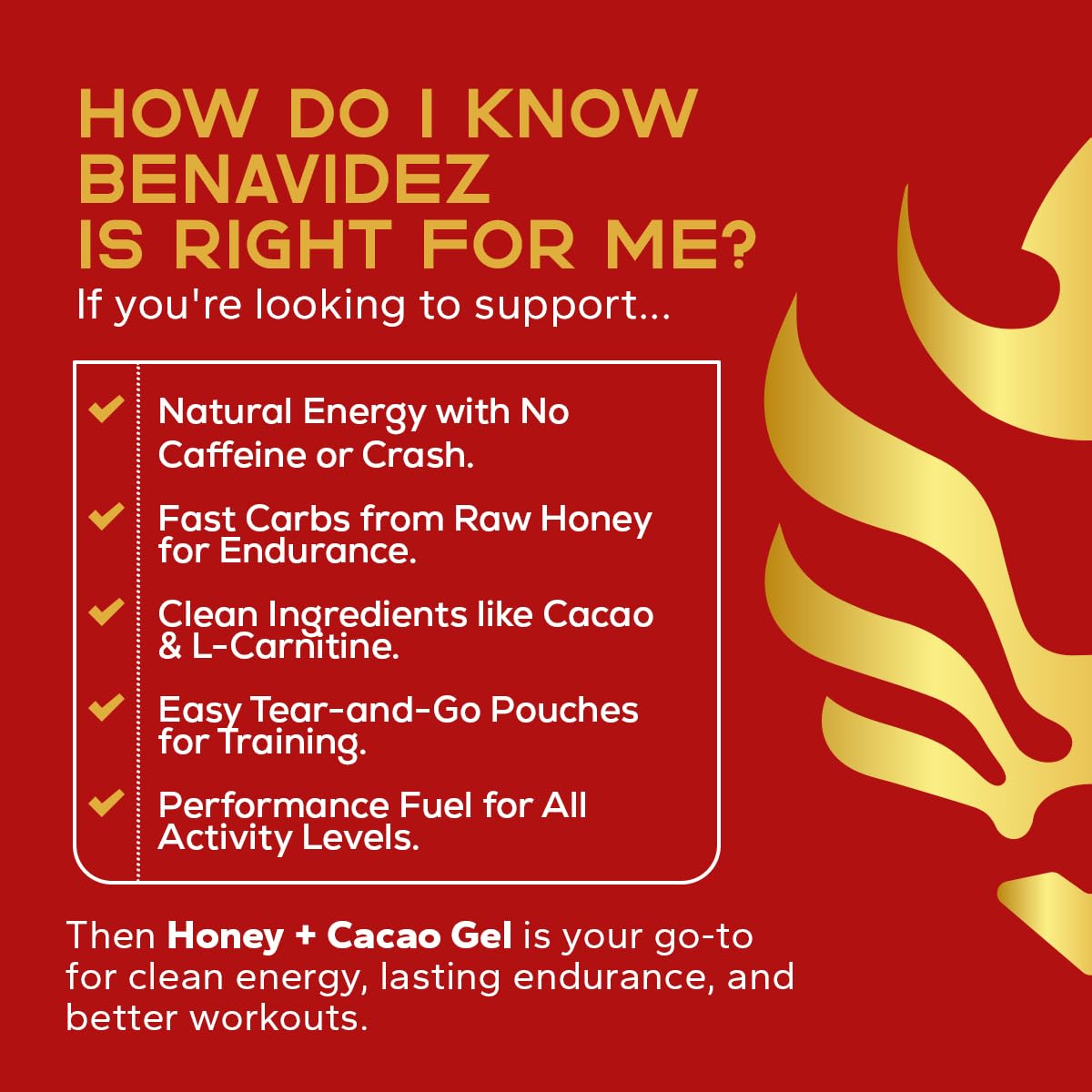 Benavidez sports performance Energizing Honey + Cacao Gel Pouches, 12 Count (15 g Each)
