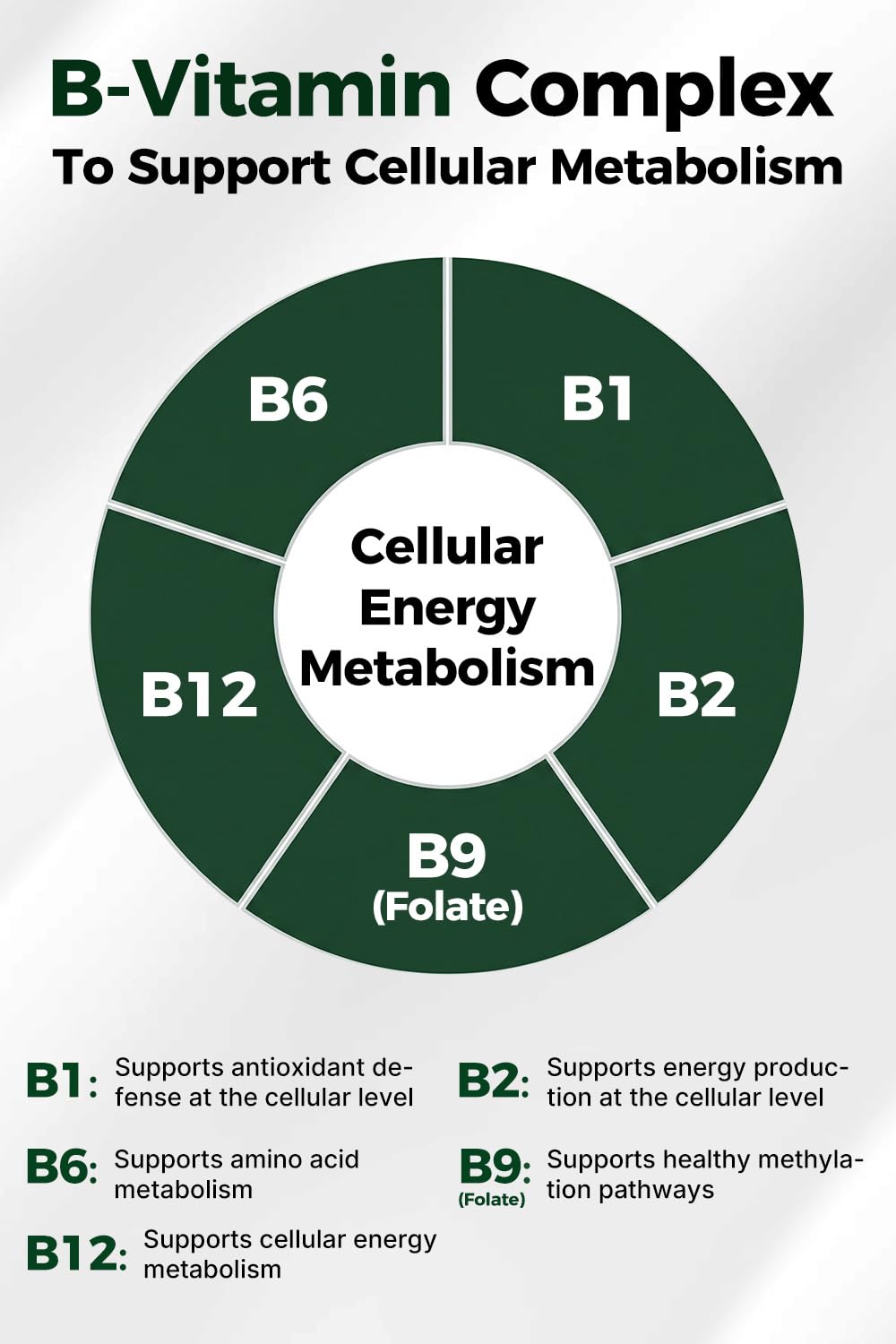 VITAJOURNEY NAD+ Supplement with Nicotinamide Riboside (NR) Capsule, 60