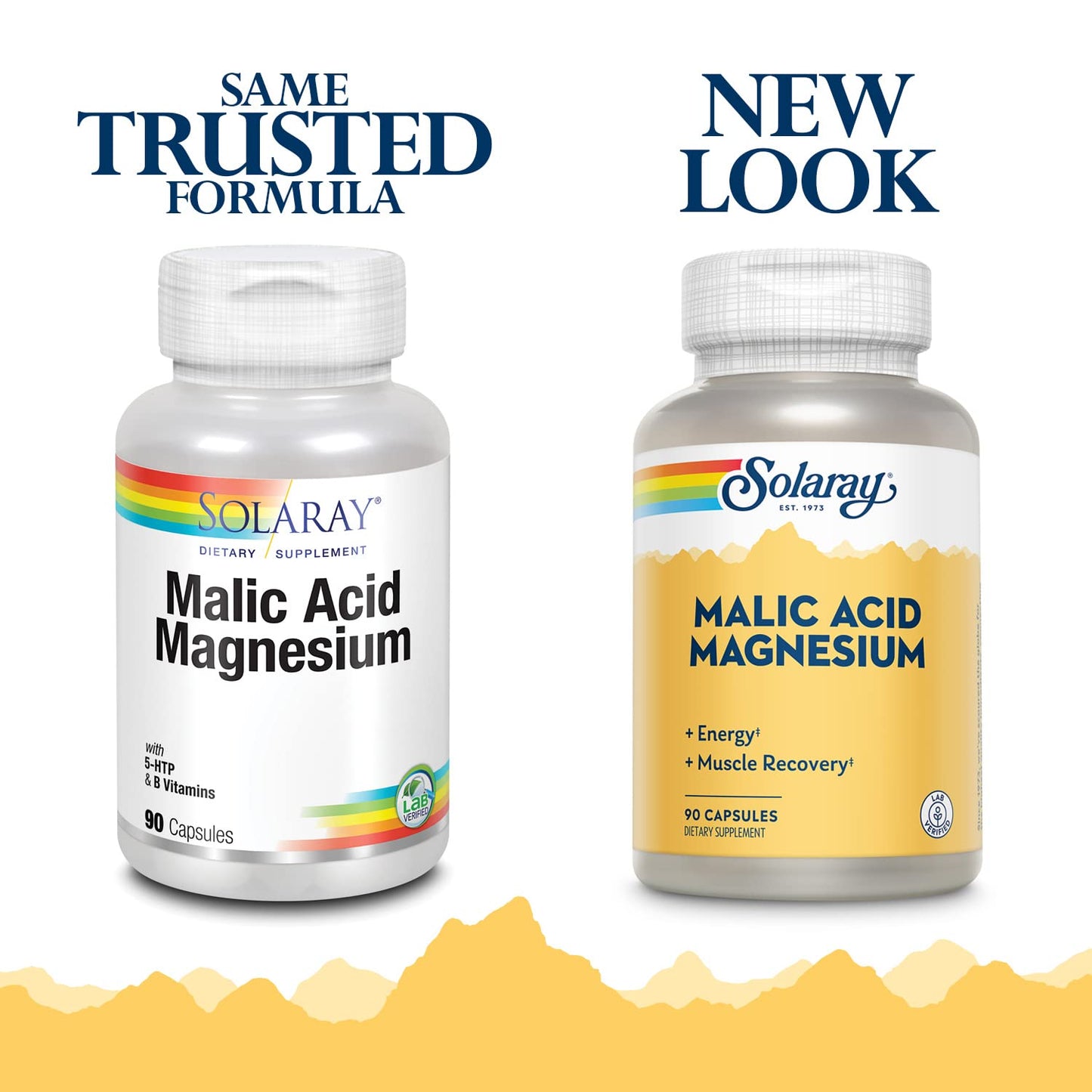 Solaray Malic Acid with Magnesium Capsule 90 Count