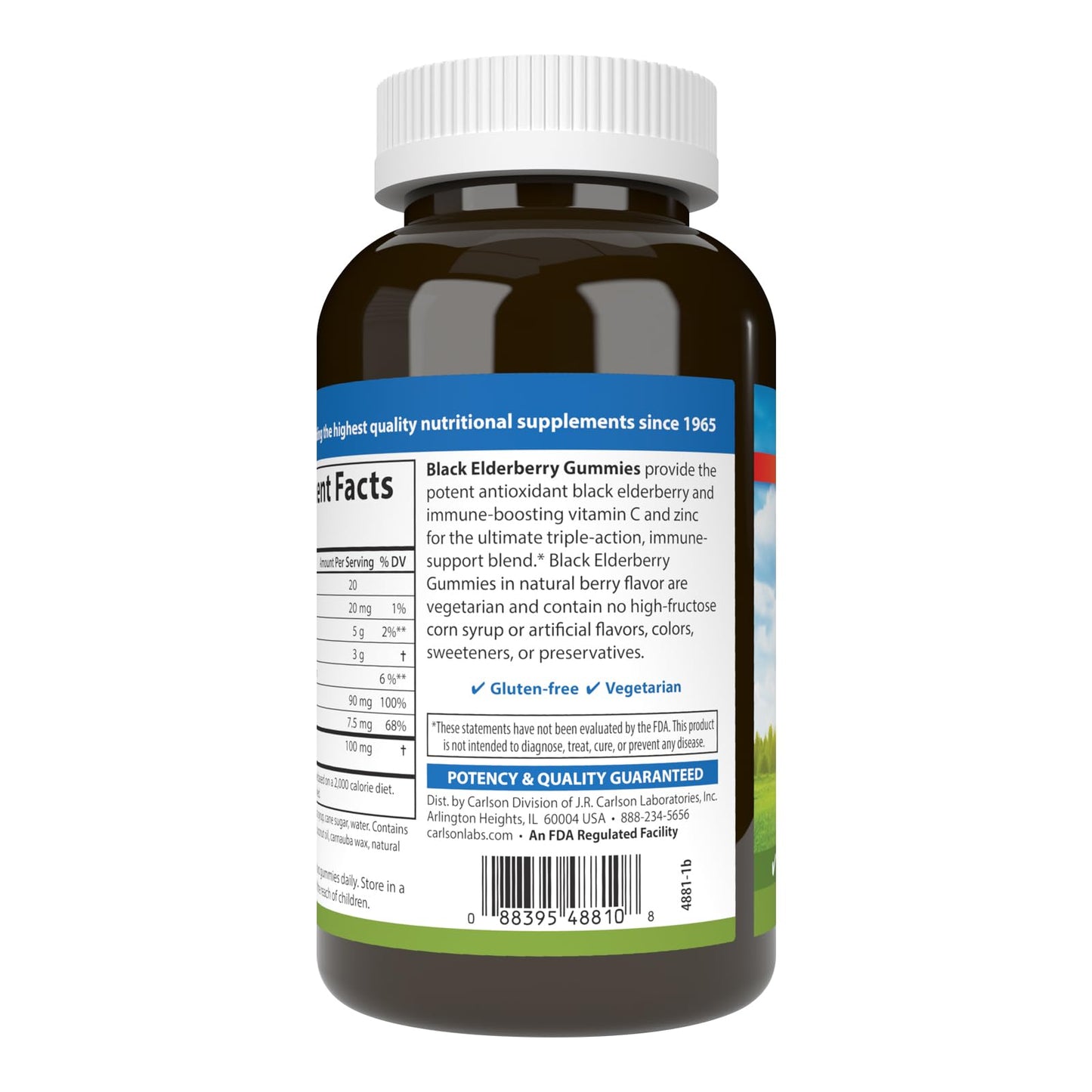 Carlson Black Elderberry Gummies with Vitamin C & Zinc, Immune Support, 120 Gummies