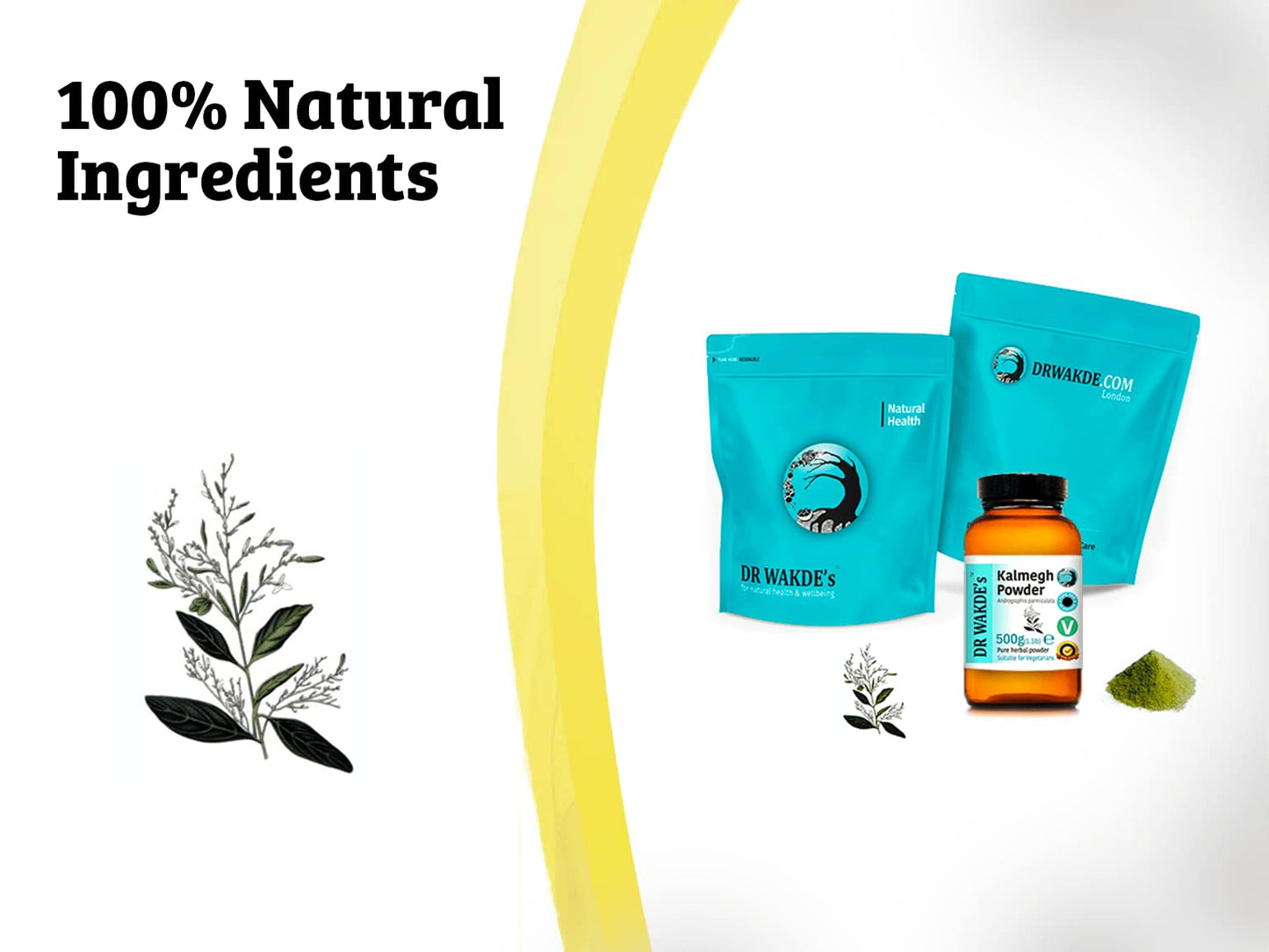 DR WAKDE's Kalmegh Powder (Andrographis panniculata) Powder 3.53 oz