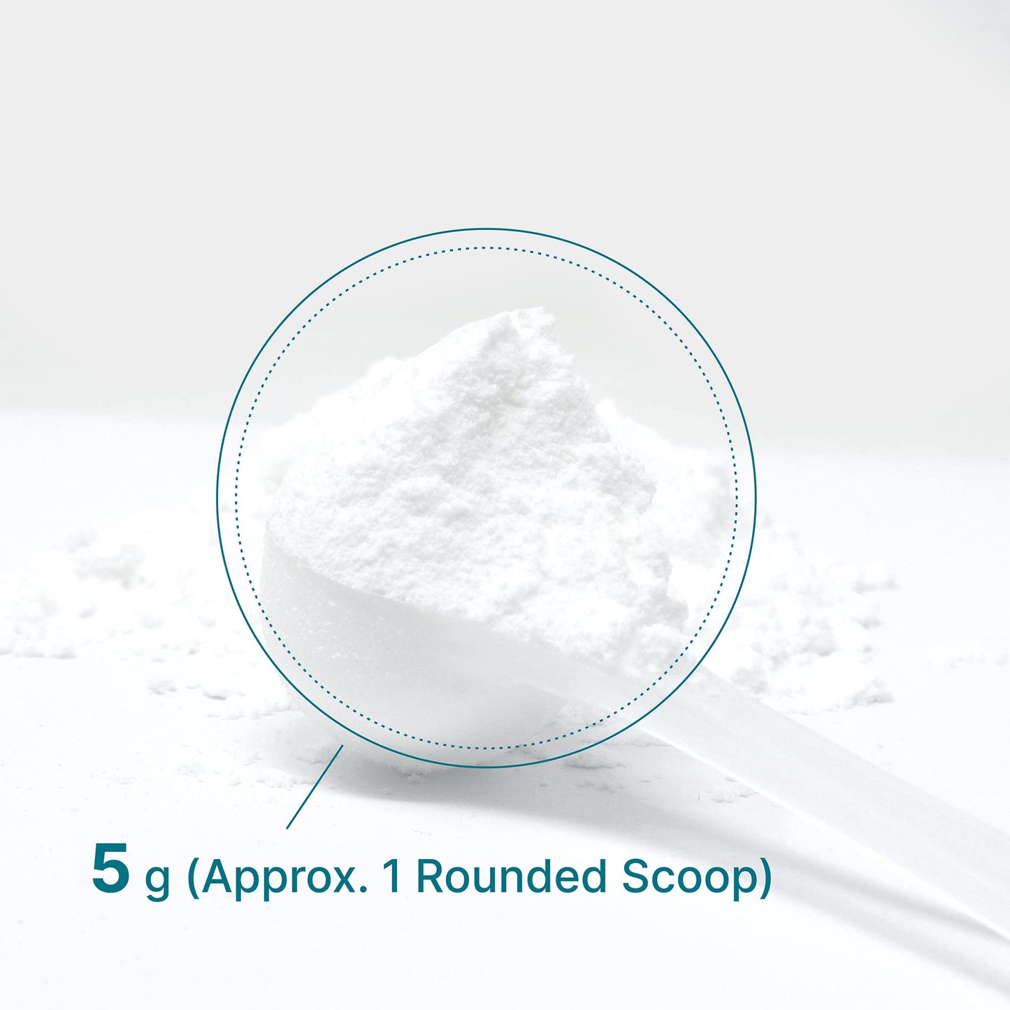 DEAL SUPPLEMENT Micronized Creatine Monohydrate Powder 10.6 Ounce