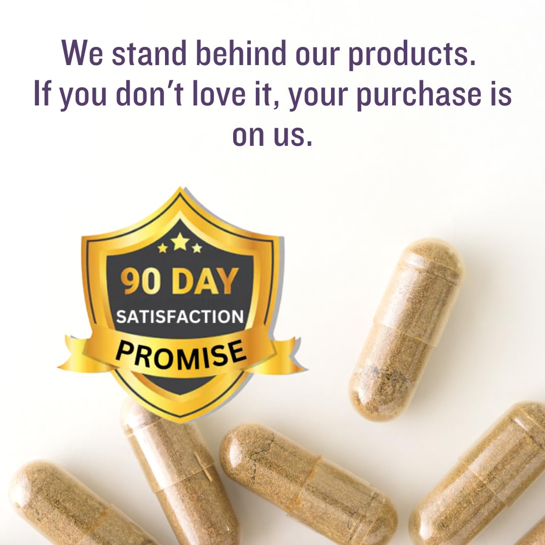 SUBSTANCE Turmeric Curcumin Supplement Capsule 90 Count
