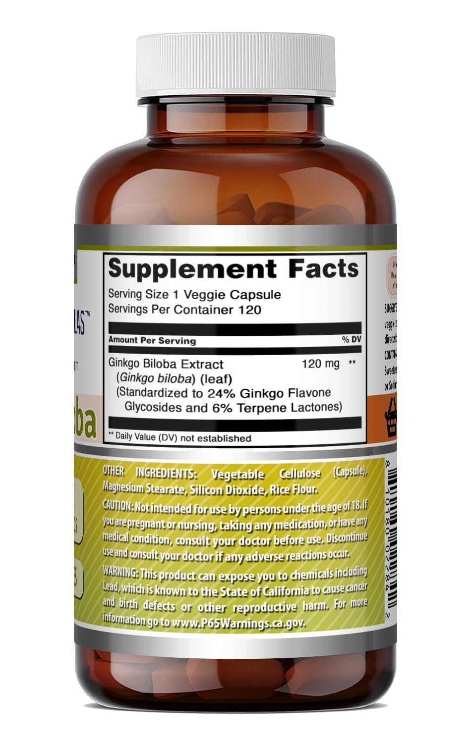 Amazing Nutrition Ginkgo Biloba 120 Mg Supplement Capsule, 120 Count