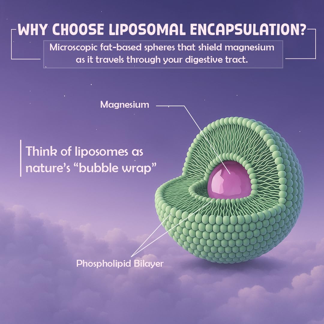 BEASTLIFE Triple Liposomal Magnesium 350mg Capsules, 60 Count