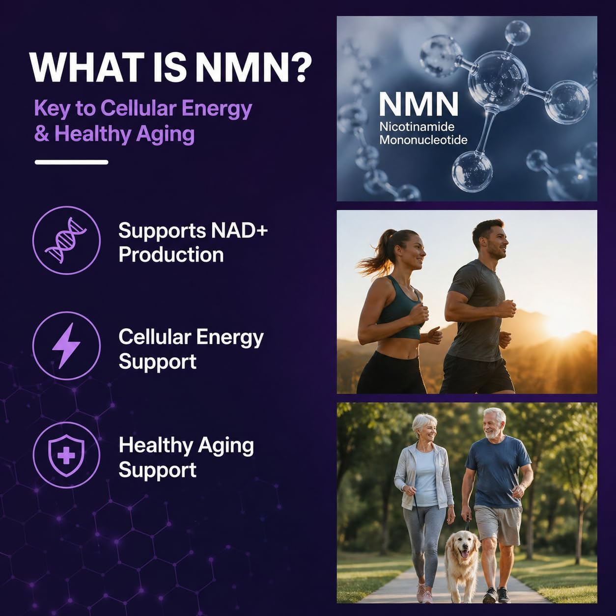 Noura Labs NMN 1000mg Gummies NAD+ Supplement, Mixed Berry, 90 Count