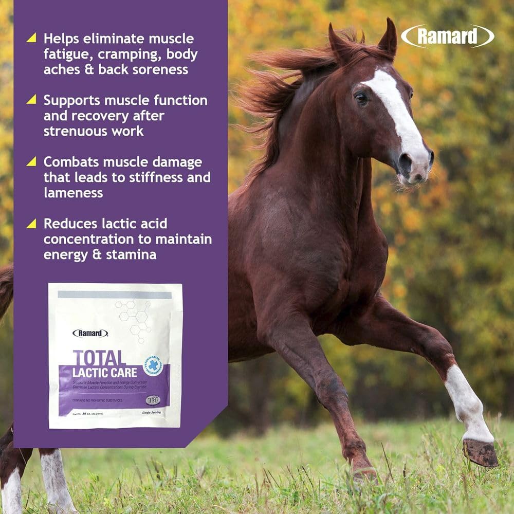 Ramard Total Lactic Care Muscle Function Support Supplement Powder 0.88 Ounce