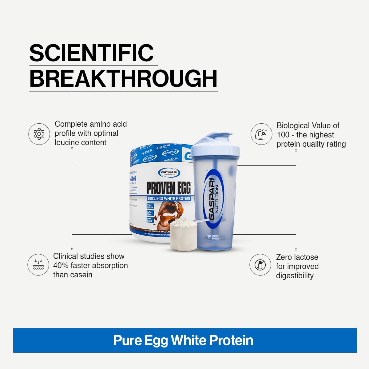 Gaspari Nutrition Proven Egg 100% Egg White Protein Powder, Keto Friendly, Dairy and Lactose Free, Soy Free, Chocolate, 6 oz