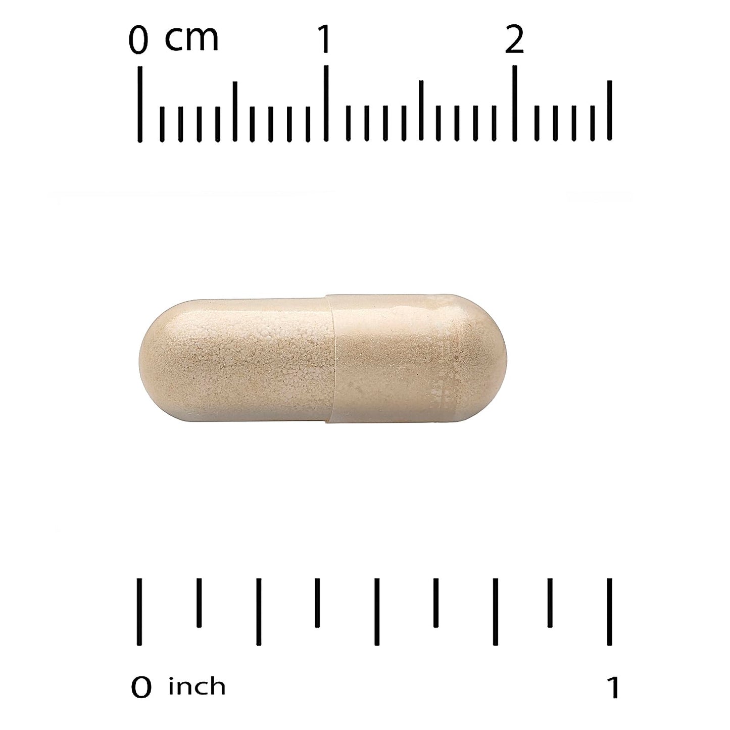 Vitacost Milk Thistle Extract Capsules, 1 Count