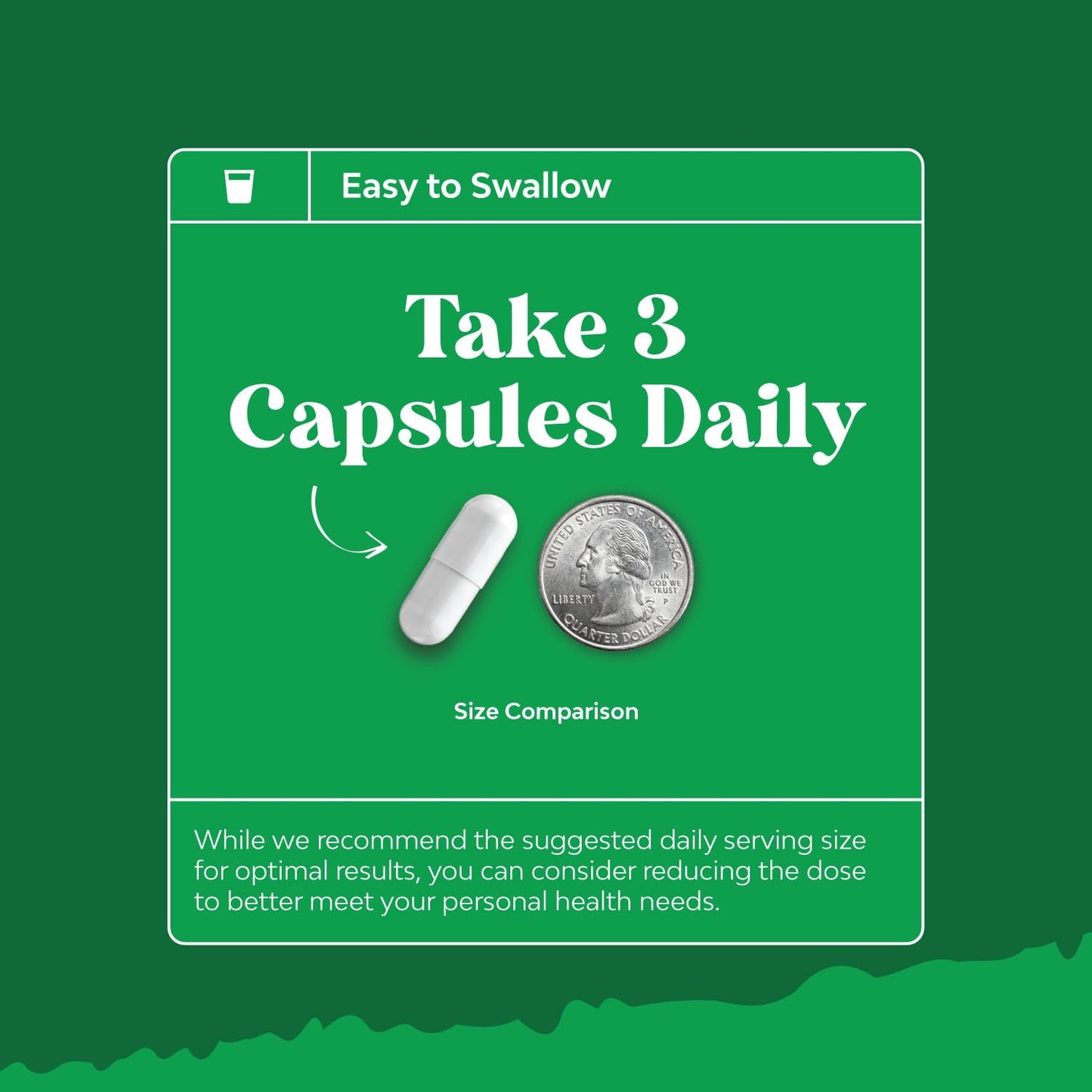 Natures Craft Gallbladder Support Digestive Enzymes with Ox Bile Capsules 90 Count