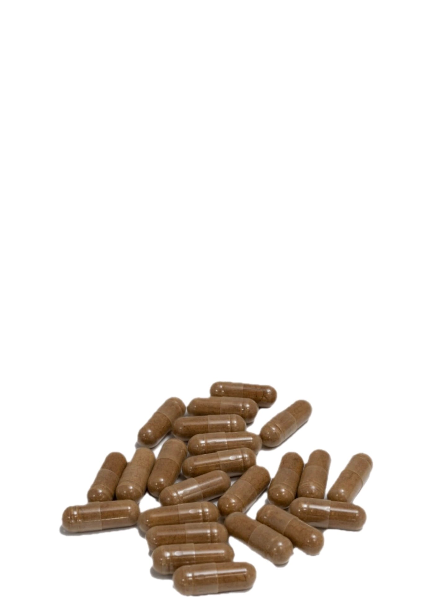 CHI CHAGA Chaga Mushroom Capsules, 120 Capsules