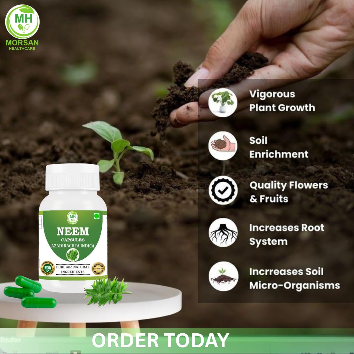 Morsan Healthcare Neem (Azadirachta Indica) Capsules - 500 mg, 60 Veg Capsules