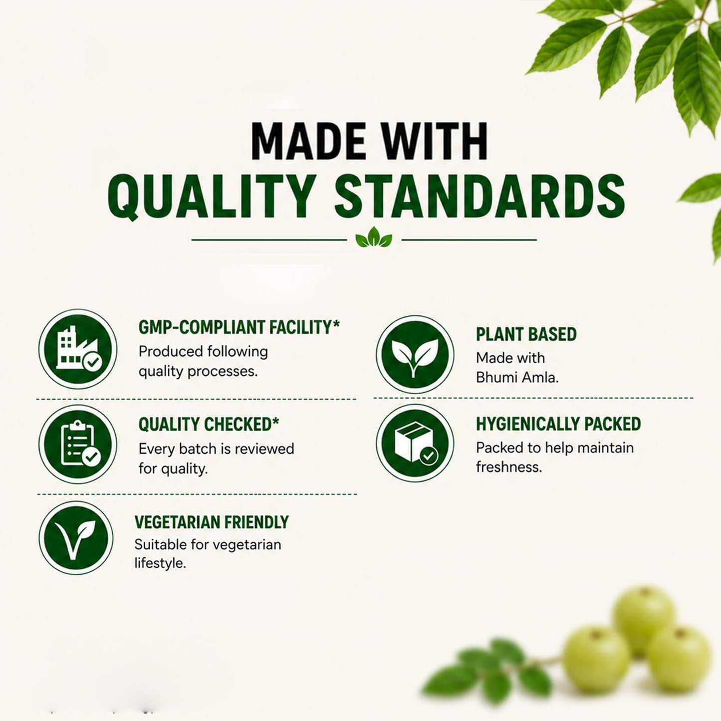 VEDIKROOTS Bhumi Amla Powder/Churn - Organic and Pure Ingredient Extract for Healthy Liver Functioning and Digestive Strength Enriched with Essential Nutrients, Powder, 3.5274