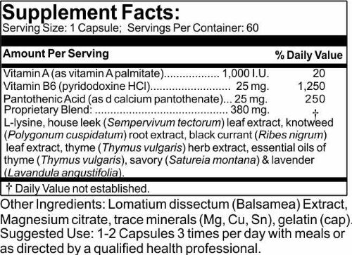 Time Laboratories PhytoBiotic Capsules 60