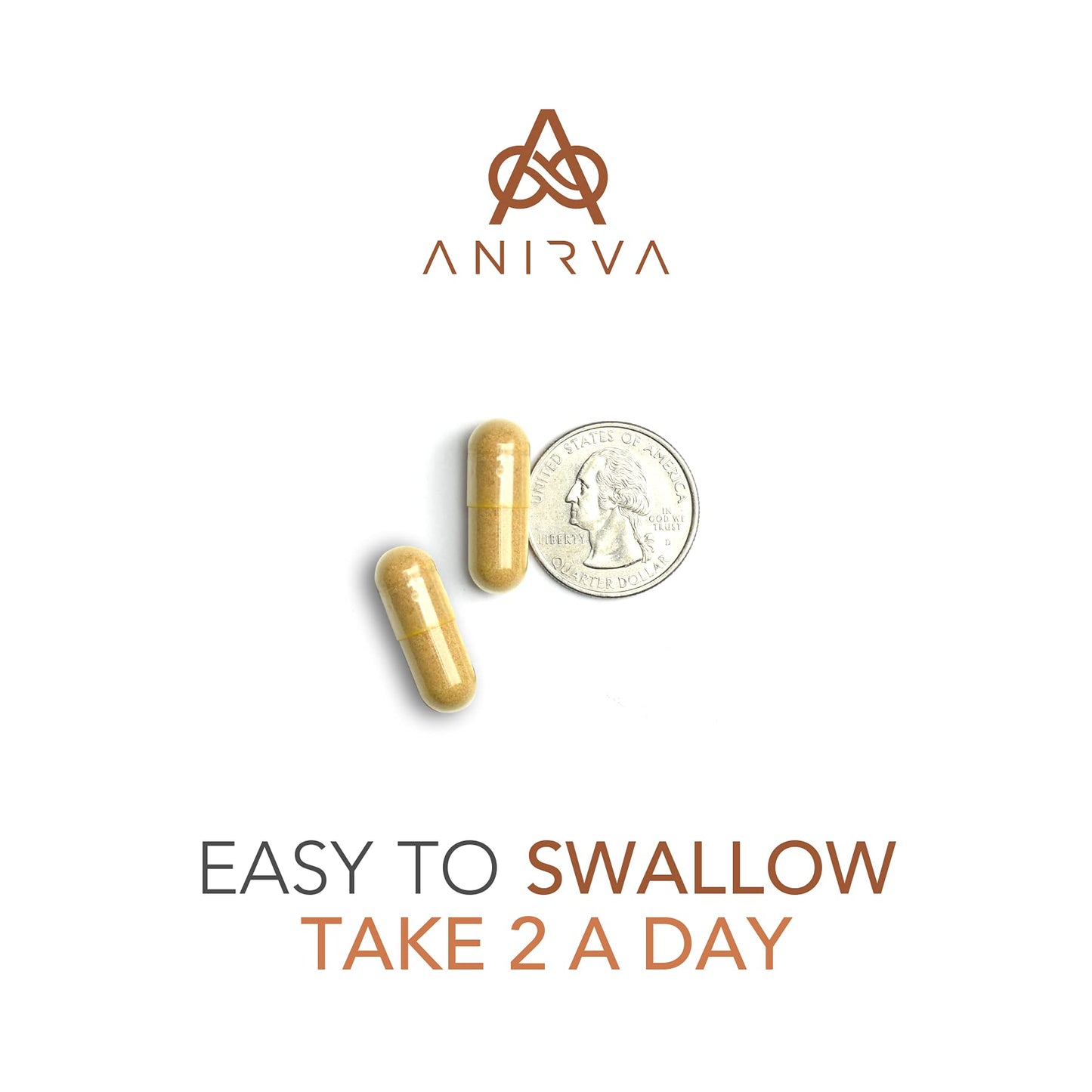 ANIRVA Skin Supplement with Antioxidants Capsules, 60 Capsules